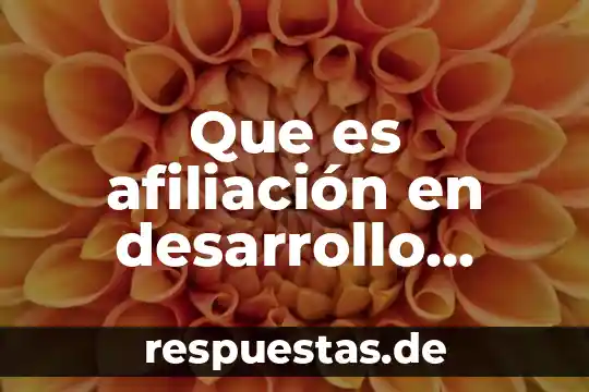 Qué es el número de afiliación de la ss 4 Que es afiliación en desarrollo humano