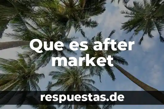 Qué es una empresa constituida en sociedad en Bolivia 6 Que es after market