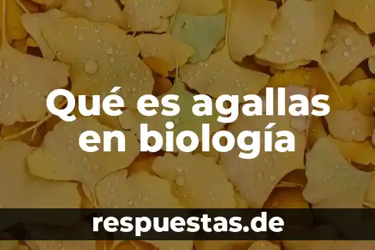 Biologia para que es util injertos 5 Qué es agallas en biología