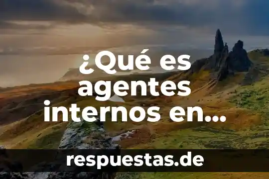 Qué es componentes internos de un monitor 6 ¿Qué es agentes internos en contabilidad?