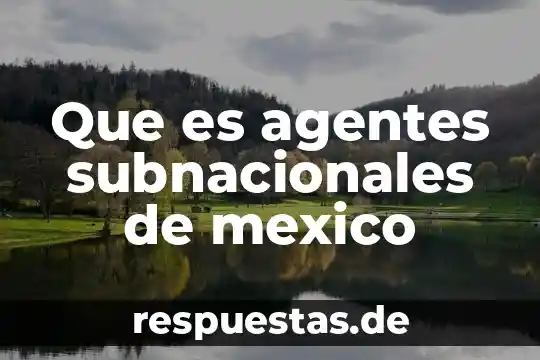 Qué es justicia administrativa en México 6 Que es agentes subnacionales de mexico
