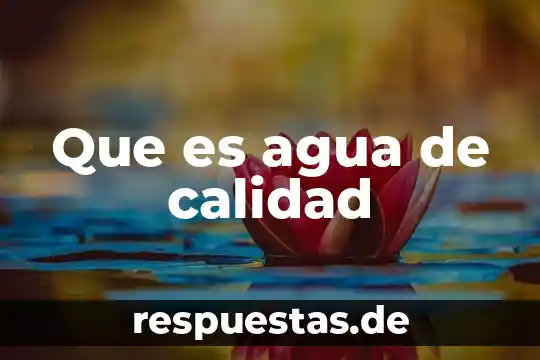 Concepto que es calidad de vida 3 Que es agua de calidad