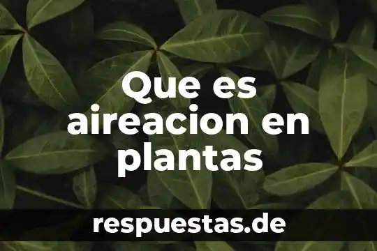 Que es aireacion en plantas