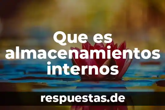 Qué es componentes internos de un monitor 5 Que es almacenamientos internos