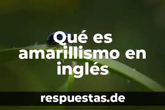 Qué es el sol como se dice sol en inglés 3 Qué es amarillismo en inglés