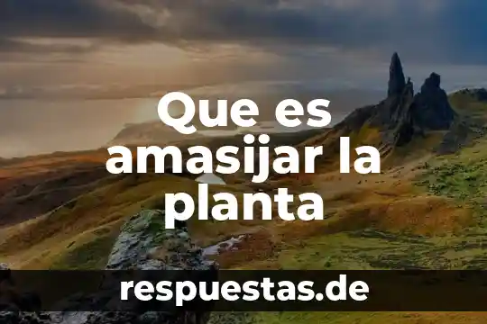 Que es librabza en la planta de emergencia 3 Que es amasijar la planta