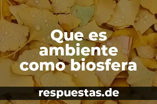Que es el ambiente frustante 6 Que es ambiente como biosfera