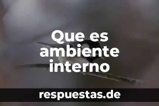 Que es el conocimiento interno 4 Que es ambiente interno