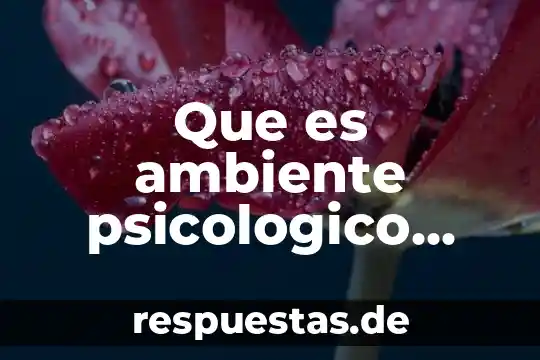 Que es el ambiente frustante 3 Que es ambiente psicologico yahoo