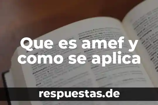 Que es una constancia de carabineros aplica en monterrey 8 Que es amef y como se aplica