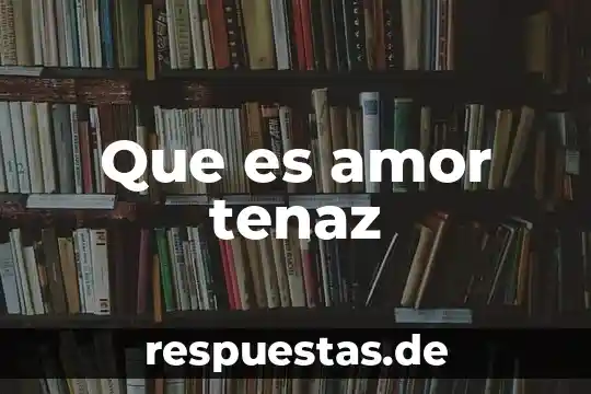 Que es comuna municipal 8 Que es amor tenaz