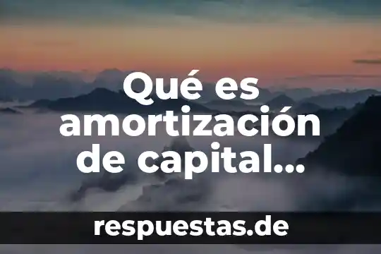 Que es el multiplicador de capital en el sistema dupont 8 Qué es amortización de capital definición