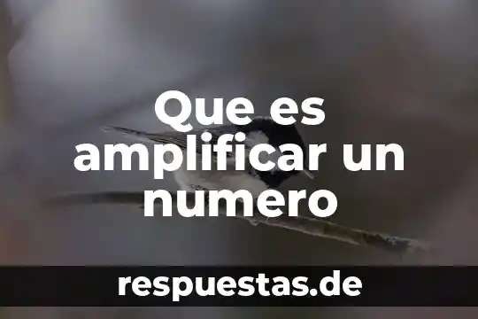 Número de Euler qué es 7 Que es amplificar un numero