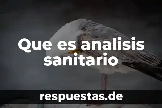 Que es un fiscal sanitario aduanal 4 Que es analisis sanitario