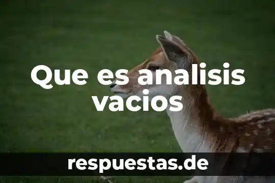 Que es analisis vacios