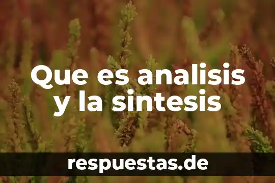 Que es una sintesis concepto 7 Que es analisis y la sintesis