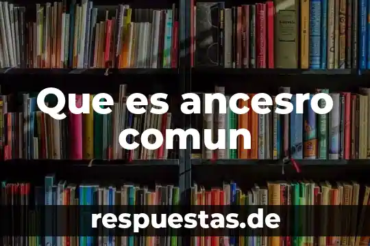 Qué es el conocimiento común y sus características 8 Que es ancesro comun