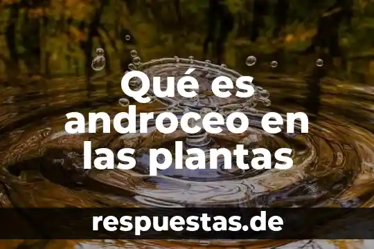Qué es androceo en las plantas