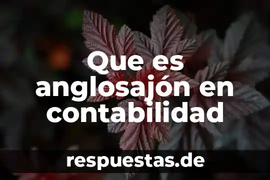 Contabilidad de posicion que es 4 Que es anglosajón en contabilidad