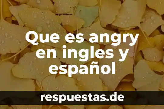 Que es present progressive en ingles y español 5 Que es angry en ingles y español