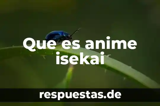 Qué es el anime en programación informática 8 Que es anime isekai