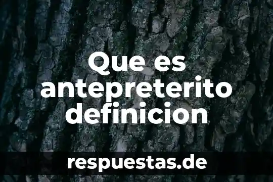 Que es antepreterito definicion