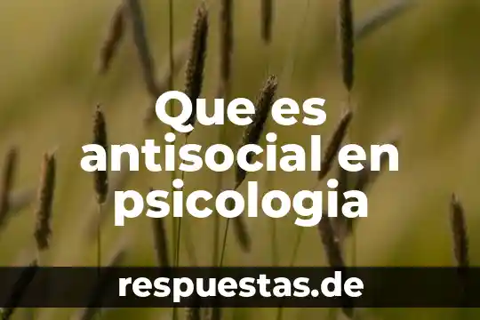 Que es realidad en psicologia 5 Que es antisocial en psicologia