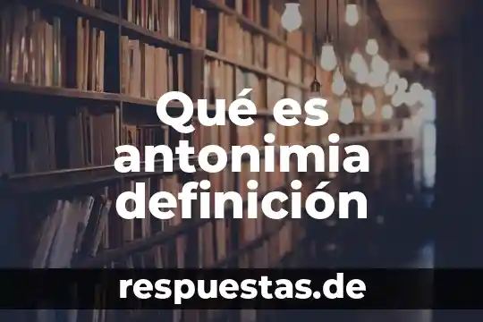 Que es un moño definicion 6 Qué es antonimia definición