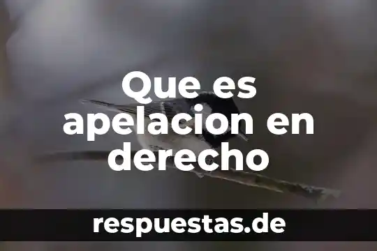 Que es apelacion en derecho