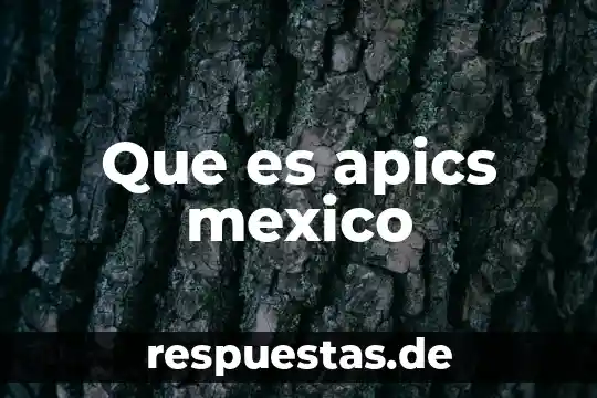 Que es para ti la bandera de mexico 4 Que es apics mexico