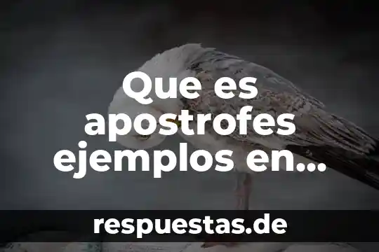 Que es apostrofes ejemplos en singular