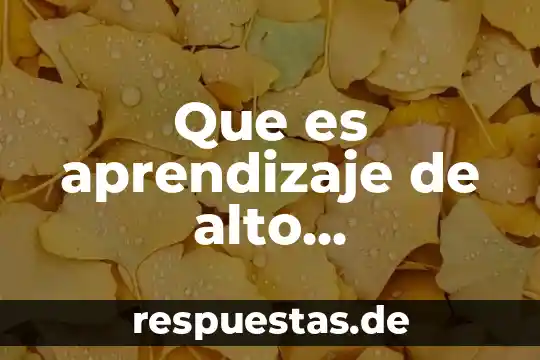Que es el desarrollo economico alto 3 Que es aprendizaje de alto desempeño