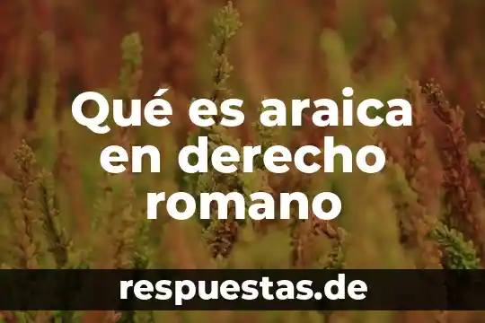Qué es araica en derecho romano