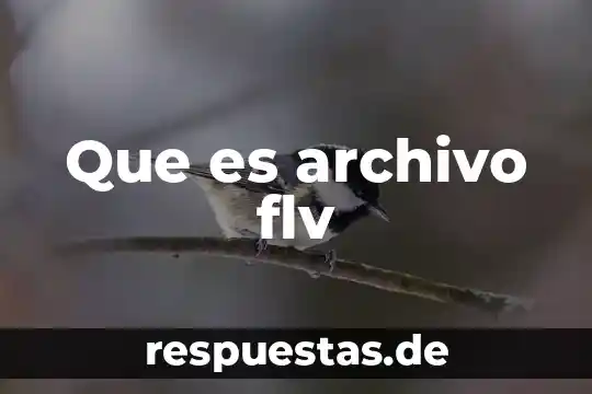 ¿Qué es el archivo alfabético compuesto? 4 Que es archivo flv
