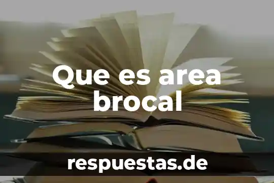 Qué es el concepto de área local 8 Que es area brocal