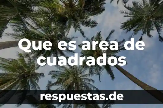 Qué es el concepto de área local 7 Que es area de cuadrados
