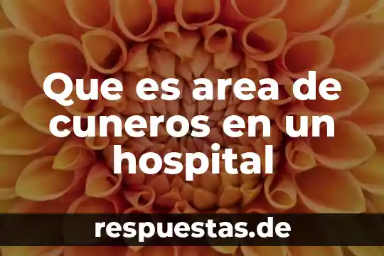 Que es el archivo default-capability.xml 5 Que es area de cuneros en un hospital