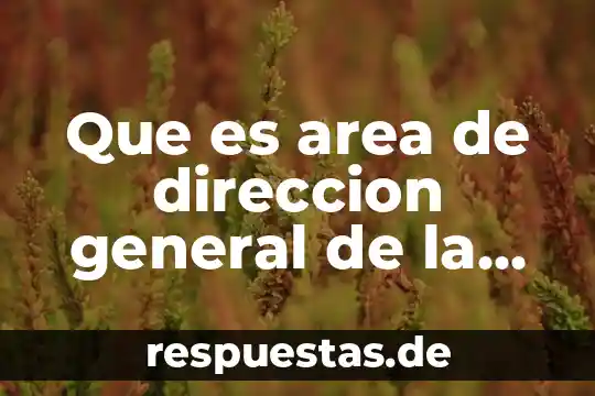 Posición, movimiento o dirección de los objetos que es 4 Que es area de direccion general de la empresa