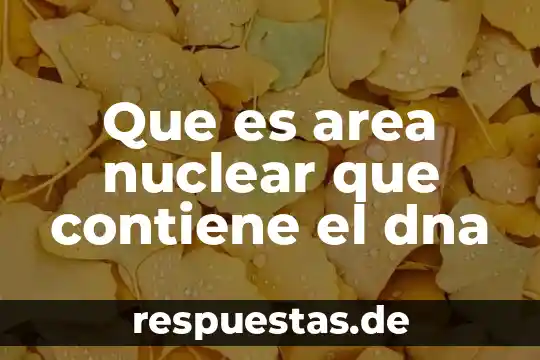 Que es area septentrionalesquematizado 5 Que es area nuclear que contiene el dna