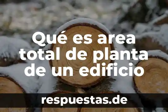 Que es la deuda total en contabilidad 8 Qué es area total de planta de un edificio