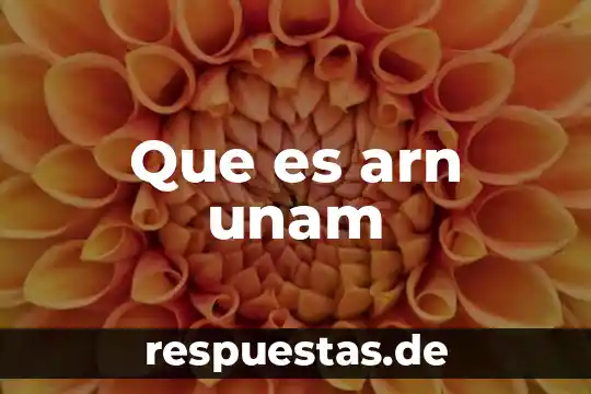 Qué es el rector de la unam 7 Que es arn unam