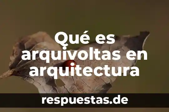 Qué es comercio internacional 6 Qué es arquivoltas en arquitectura