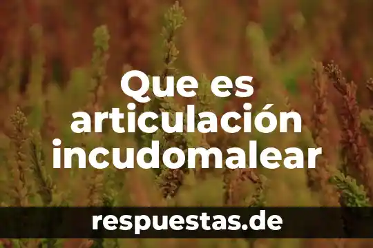 Qué es la naturaleza de la empresa definición 5 Que es articulación incudomalear