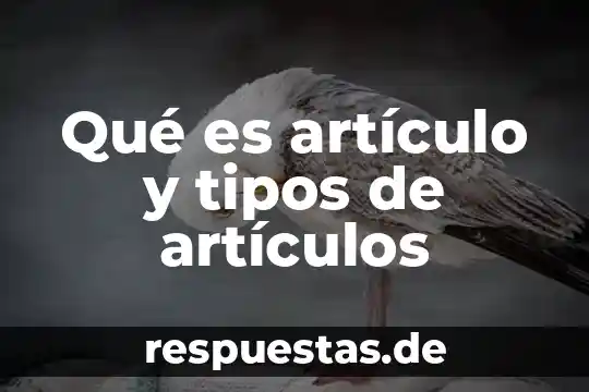 Qué es artículo y tipos de artículos