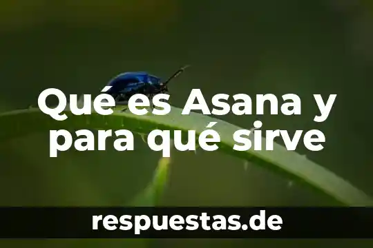Qué es un comité de bioética y para qué sirve 5 Qué es Asana y para qué sirve