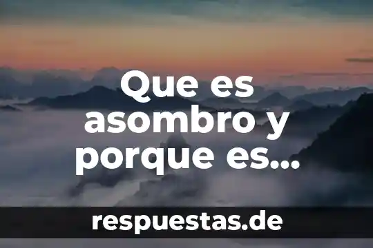Por que es importante la gestion en la escuela 6 Que es asombro y porque es importante para la filosofia