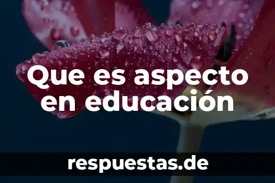 Que es aspecto en educación