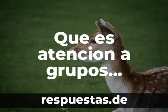 Que es la fiscalia especializada en grupos vulnerables 4 Que es atencion a grupos turisticos
