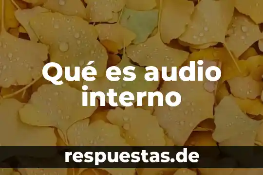 ¿Qué es el número audio? 8 Qué es audio interno