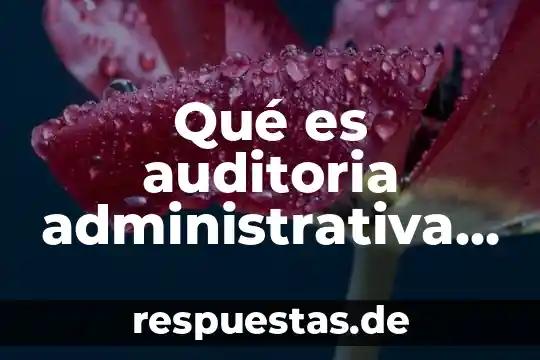 Que es contabilidad financiera segun varios autores 4 Qué es auditoria administrativa según varios autores